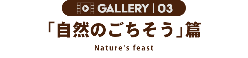 GALLERY 03 「自然のごちそう」篇 Nature's feast